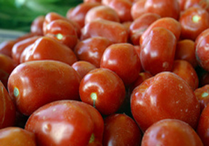 گوجه فرنگی از 10 روز دیگر ارزان می شود