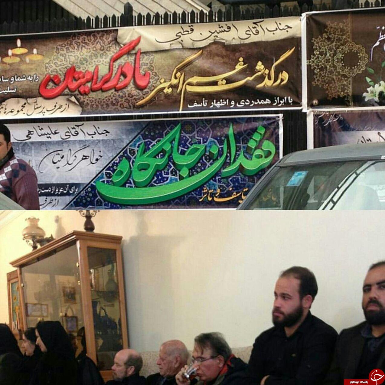 حلیم نذری کانون هوادارن پرسپولیس + عکس