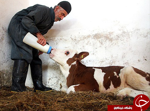 عکس هایی که بوی امید و زندگی می دهند ( قسمت دهم )