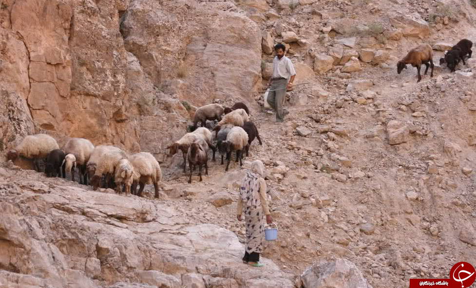عکس هایی که بوی امید و زندگی می دهند ( قسمت دهم )