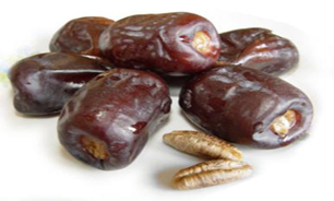با هسته خرما، سنگ کلیه را دفع کنید