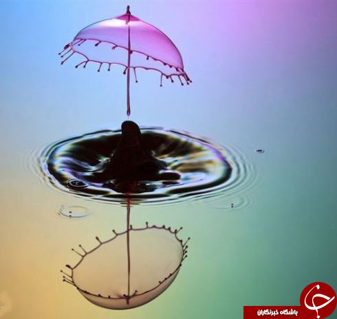 عکس های باور نکردنی از هنر قطره ها