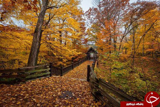 جاذبه های طبیعت درفصل پاییز+عکس
