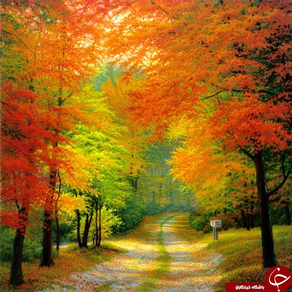 جاذبه های طبیعت درفصل پاییز+عکس