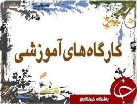 برگزاری کارگاه های آموزشی نظارت بر اجرای برنامه ها
