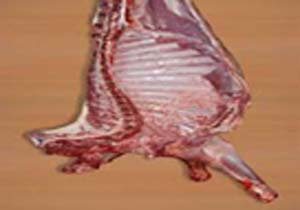 تشدید نظارت اداره دامپزشکی حاجی آباد