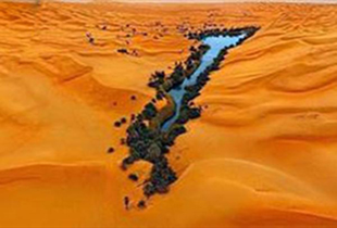 تورهای مختلط دیگر حق ورود به این مکان را ندارند