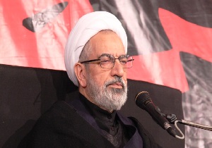 حجت‌الاسلام صفایی:دشمن به دنبال نفوذ در خبرگان و مجلس شورای اسلامی است