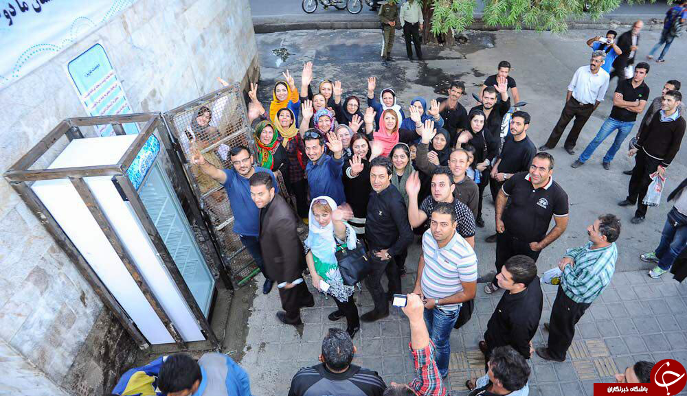 جمع مهربانان در اینستاگرام