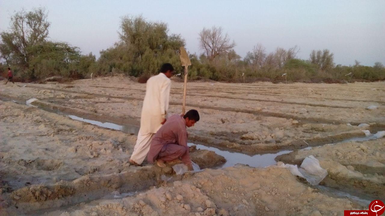 زحمتکشان روی زمین + تصاویر