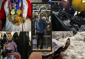 حضور آثار شبکه مستند در جشنواره سینما حقیقت/ رکورد زنی با 6 فیلم