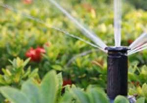 کاهش مصرف آب شرب شهری در فضاهای سبز منطقه یک شهرداری بندرعباس