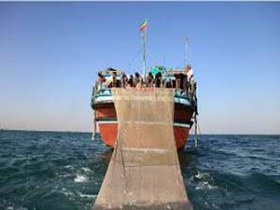 افزایش ۱۲ درصدی صیدساردین ماهیان در جاسک