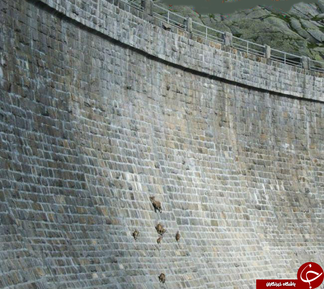 تصاویر شگفت انگیز از صخره نوردان قهار درسراسردنیا