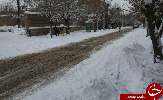 برف شهرستان پیرانشهر را سفیدپوش کرد + فیلم