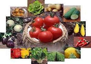 چرا استفاده از ارگانیک ها واجب است؟