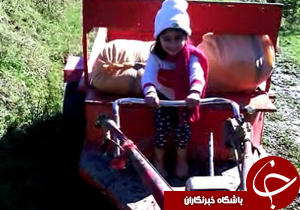 بسته
