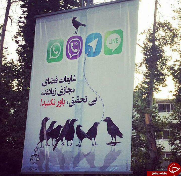 مراقب یک کلاغ چهل کلاغ درفضای مجازی باشید+عکس
