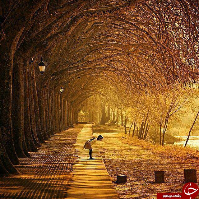 درجاده های رویایی قدم بزنید+تصاویر