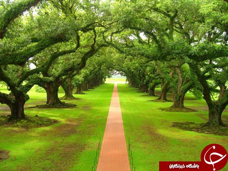 درجاده های رویایی قدم بزنید+تصاویر