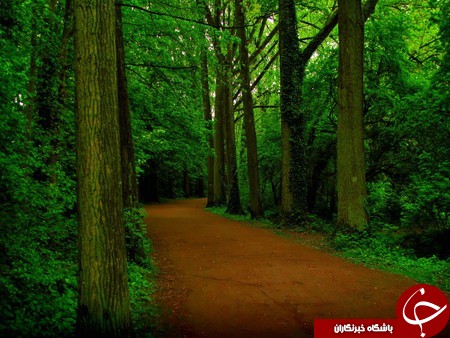 درجاده های رویایی قدم بزنید+تصاویر