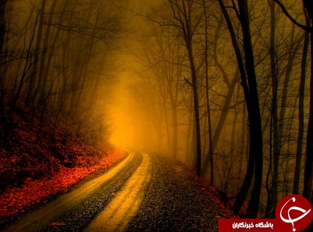 درجاده های رویایی قدم بزنید+تصاویر