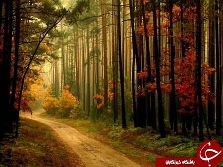 درجاده های رویایی قدم بزنید+تصاویر