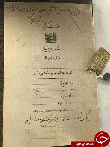 تصاویر پربازدید