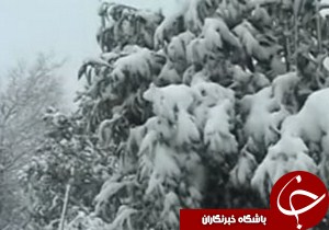 بارش برف و باران در استان  گیلان