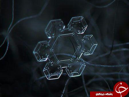 کریستاهای شگفت انگیز برف دریک نگاه+تصاویر