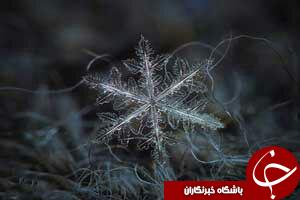 کریستاهای شگفت انگیز برف دریک نگاه+تصاویر