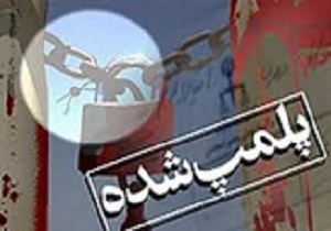 پلمپ 4واحدعرضه گوشت و مواد پروتئینی درقزوین