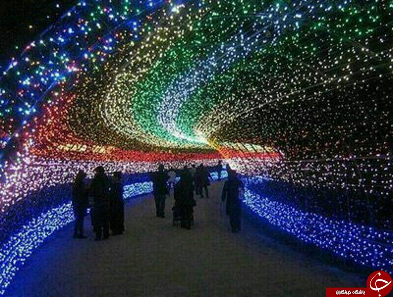 باغی با هزاران لامپ در ژاپن + تصاویر