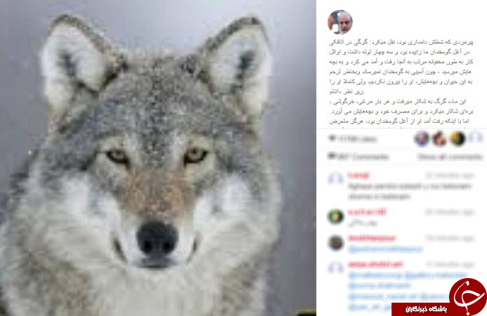 اینستاگردی