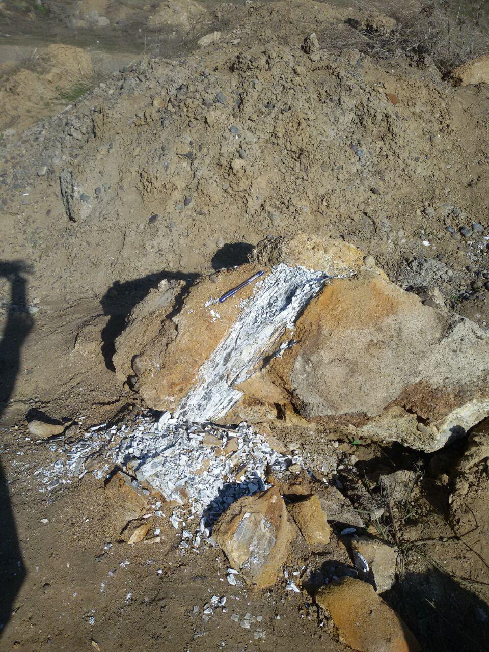 کشف بقایای جانور عظیم&zwnj;الجثه باستانی نادر در اردبیل + تصاویر