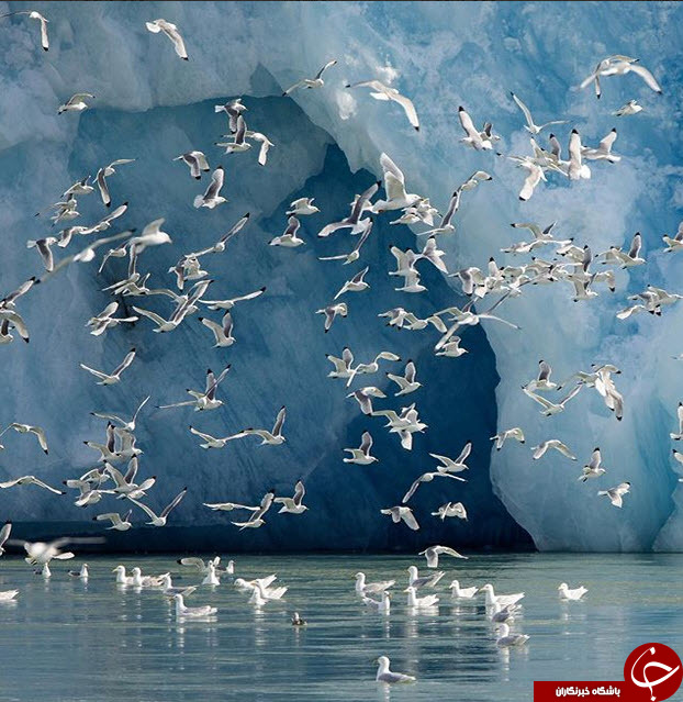 ثبت لحظه های ناب در اینستاگرام نشنال جئوگرافی(قسمت نهم)