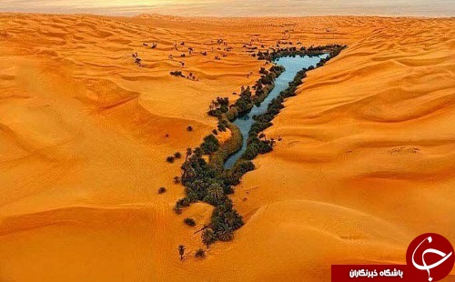 فضای مجازی از نگاه دیگر فضای مجازی از نگاه دیگر