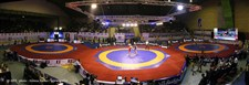 خادم:لیگ جهانی برای رسیدن تکامل نیاز به زمان و تکرار دارد