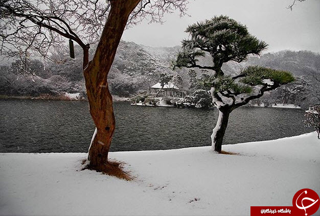 ثبت لحظه های ناب در اینستاگرام نشنال جئوگرافی(قسمت دهم)