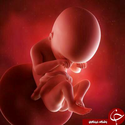 دانستنیهای بارداری از ابتدا تا زایمان + تصاویر