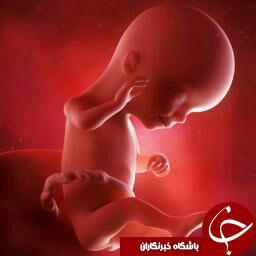 دانستنیهای بارداری از ابتدا تا زایمان + تصاویر