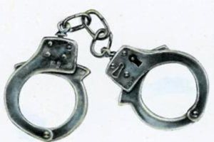 دستگیری 4 متخلف شکار غیرمجاز پرنده در استان خوزستان