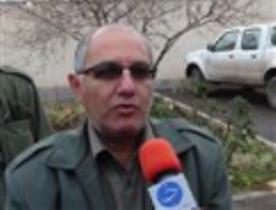 شکار شکارچیان خرگوش در آهوان