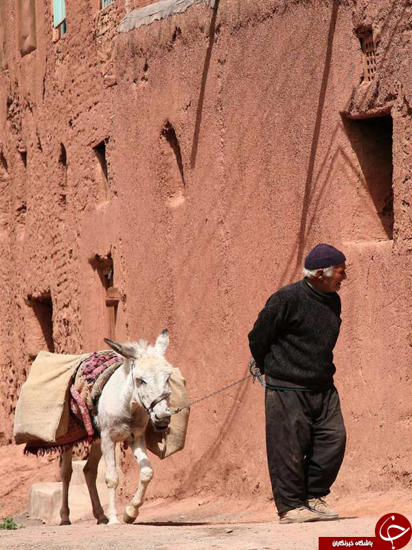 عکس هایی که بوی زندگی می&zwnj;دهد ( قسمت پانزدهم)