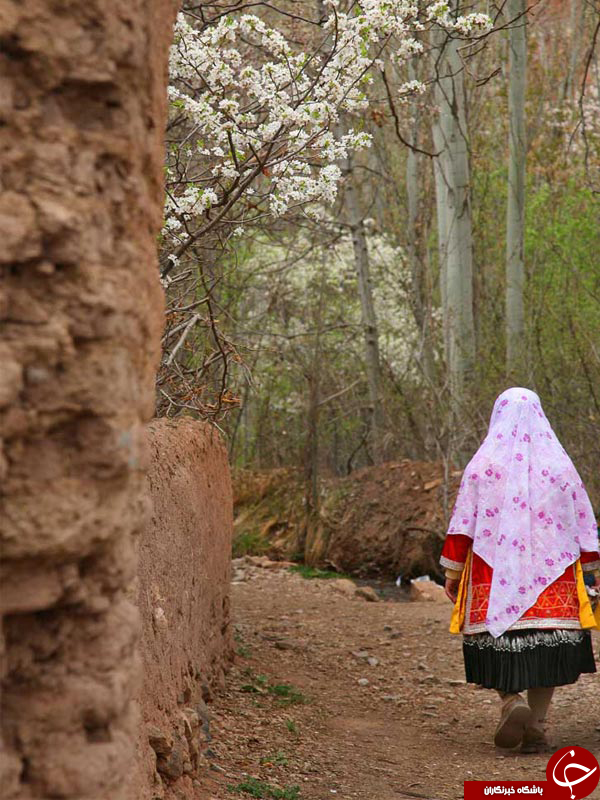 عکس هایی که بوی زندگی می&zwnj;دهد ( قسمت پانزدهم)