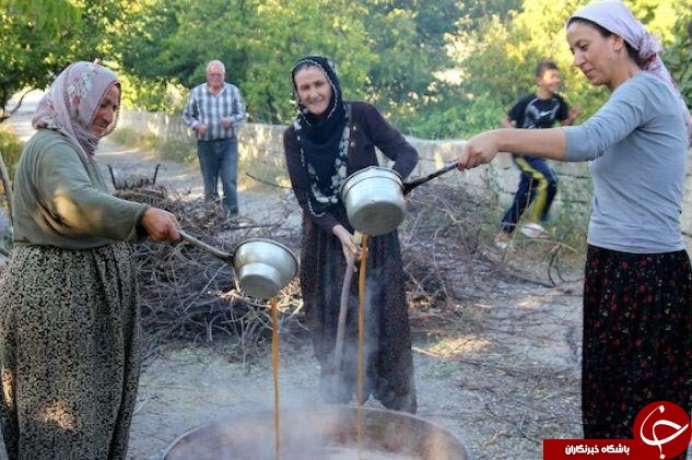 عکس هایی که بوی زندگی می&zwnj;دهد ( قسمت پانزدهم)
