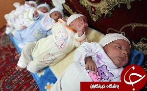 تولد 5 قلو ها در رشت