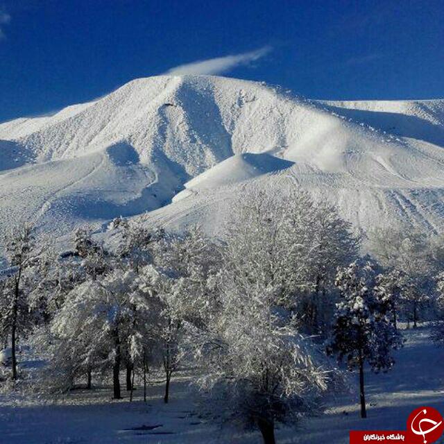 بازی زیبای برف و طبیعت + تصاویر