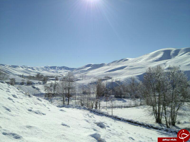 بازی زیبای برف و طبیعت + تصاویر