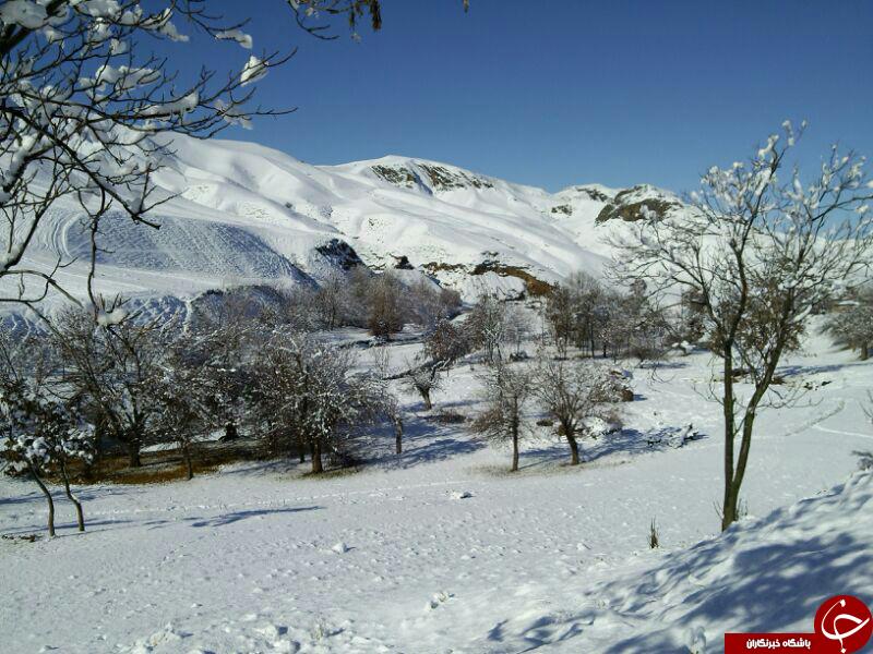بازی زیبای برف و طبیعت + تصاویر